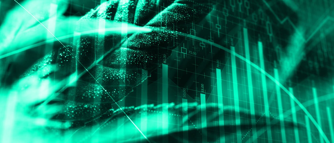 Marijuana News: Weekly Investor Roundup (June 8th)