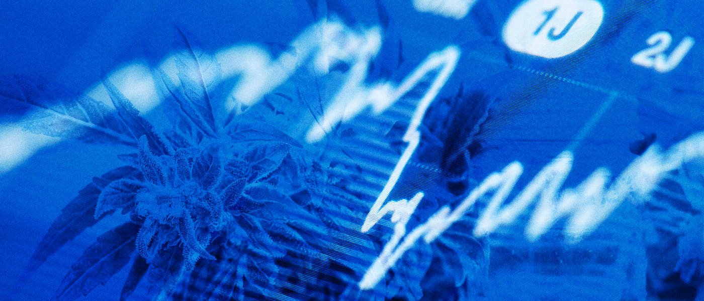 Marijuana News - Weekly Investor Roundup (August 11th)