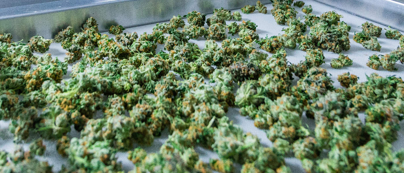 marijuana - mj investing 4