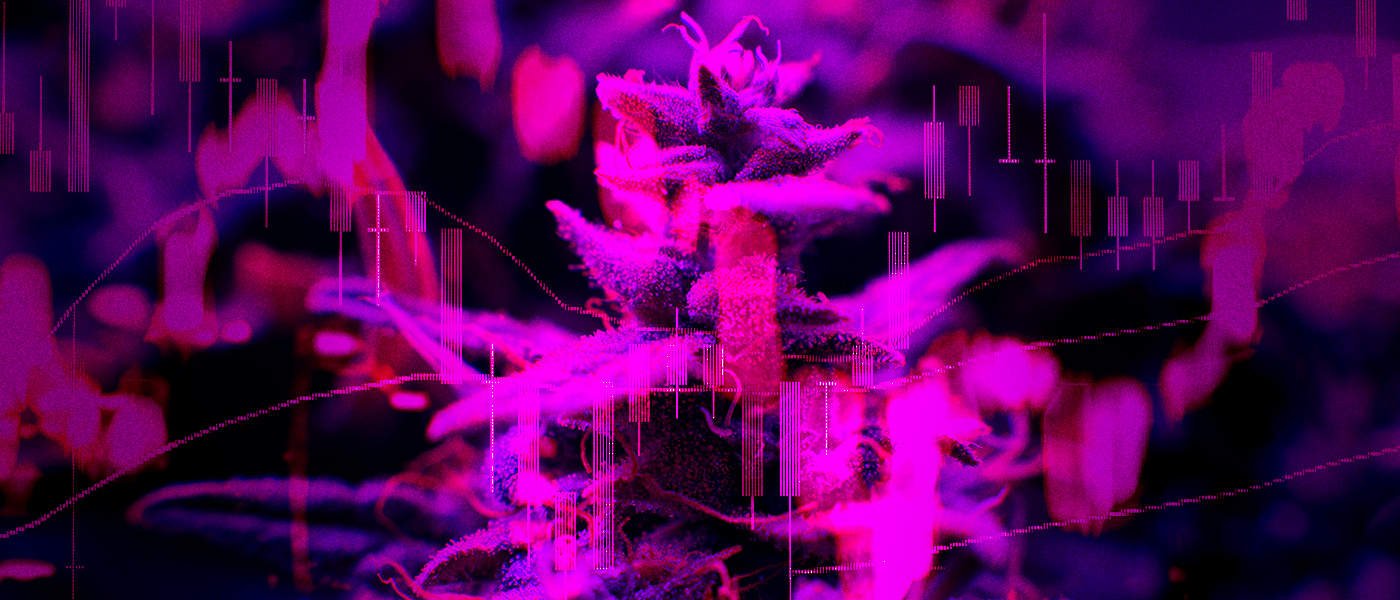 Tilray Invests $20 Million Into IGC / Westleaf Through Private Placement