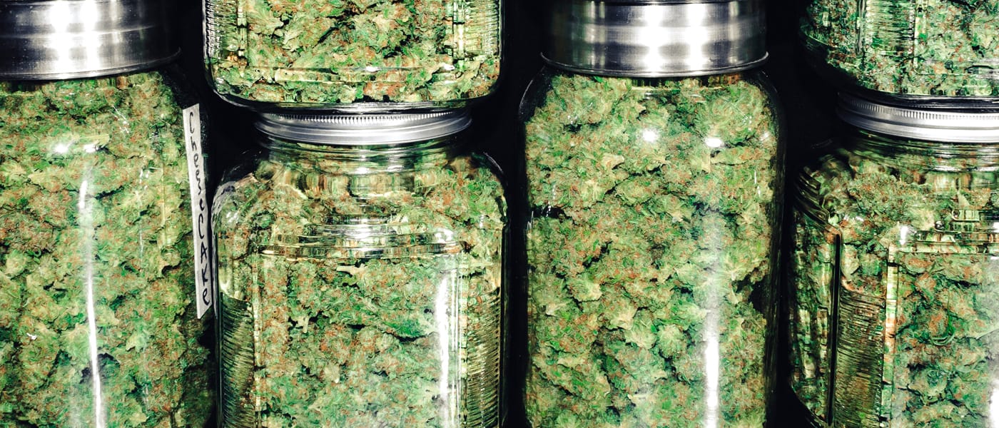 Medical Marijuana Gets Religious Backing in Utah — Could Lead to Legalization