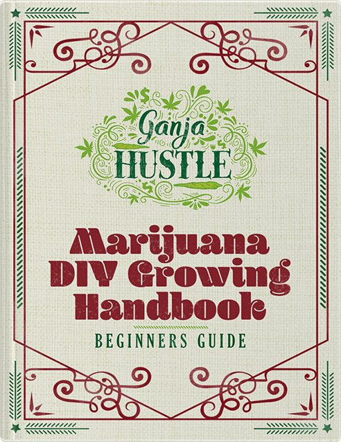 Ganja Hustle - Marijuana Growing book