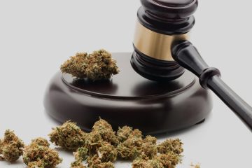 Marijuana law mj