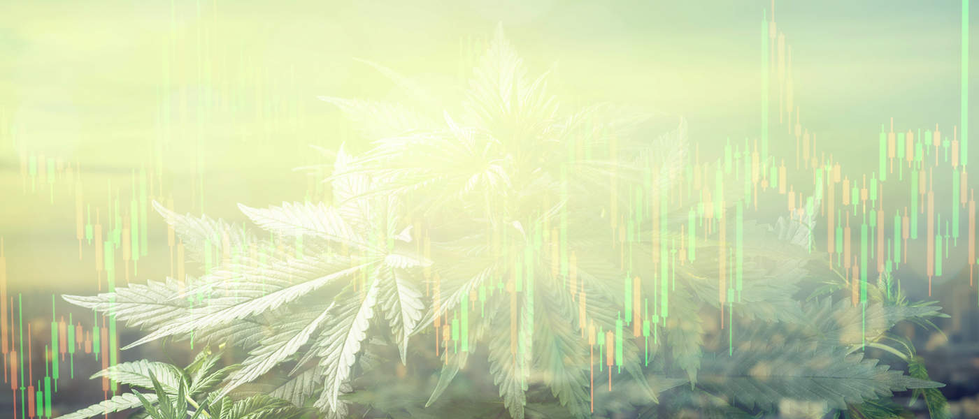 Little Green Pharma Looking to Expand into Europe